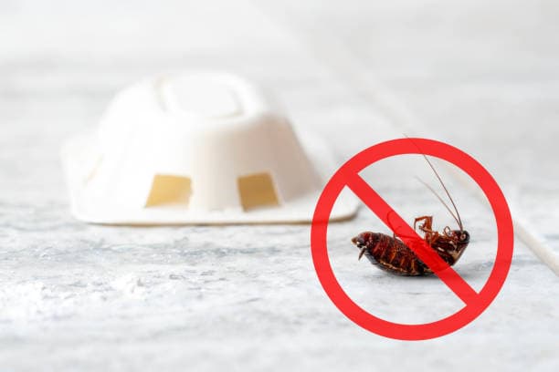 Top 10 Pest Prevention Tips for a Pest-Free Home Protect Your Home, Keep Pests Away – Simple & Effective Prevention Tips!