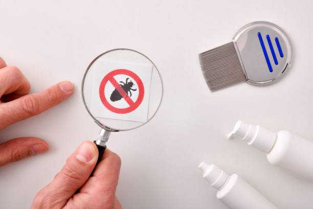 Top 10 Pest Prevention Tips for a Pest-Free Home